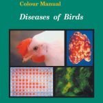 Colour Manual Diseases Of Birds PDF