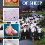 Diseases Of Sheep 4th Edition PDF