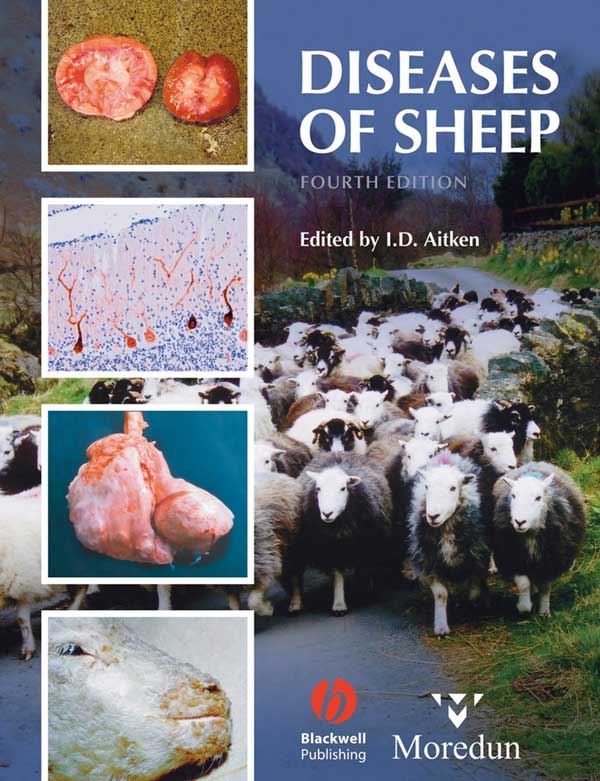 Diseases Of Sheep 4th Edition PDF