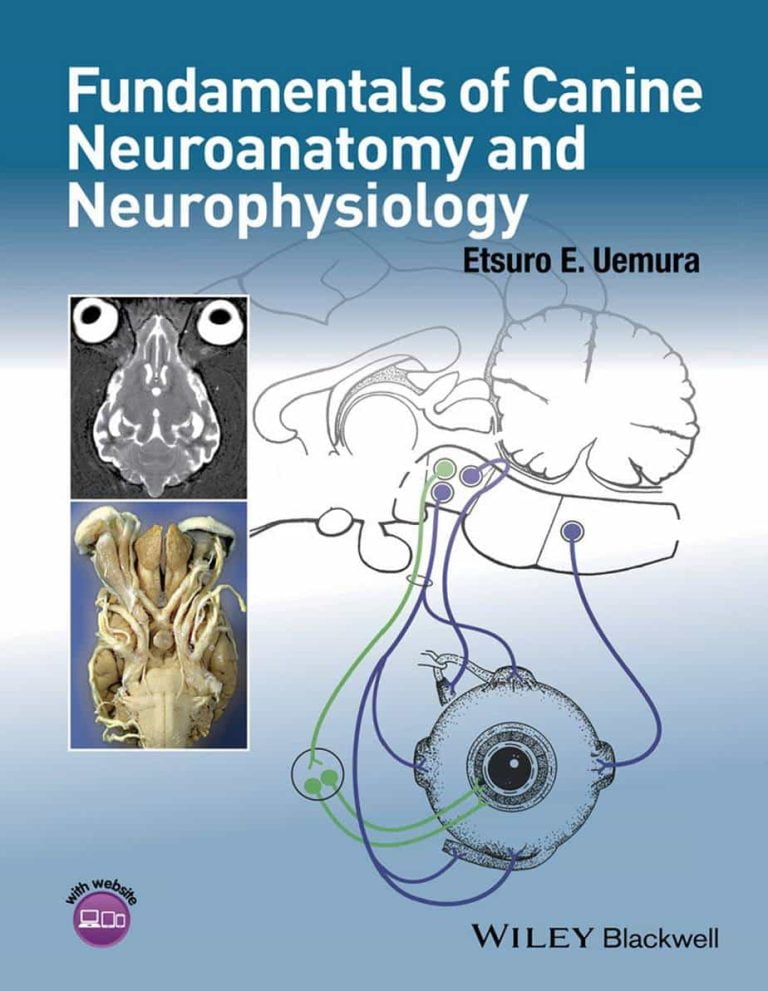 Fundamentals Of Canine Neuroanatomy And Neurophysiology PDF