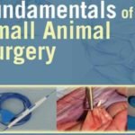 Fundamentals Of Small Animal Surgery PDF