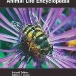 Grzimek’s Animal Life Encyclopedia Second Edition Volume 3 Insects PDF