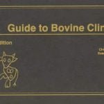 Guide To Bovine Clinics 4th Edition PDF