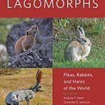 Lagomorphs Pikas, Rabbits, And Hares Of The World PDF
