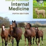 Large Animal Internal Medicine PDF