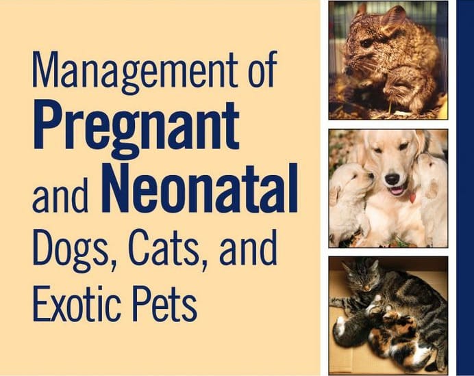 Management Of Pregnant And Neonatal Dogs, Cats, And Exotic Pets PDF