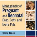 Management Of Pregnant And Neonatal Dogs, Cats, And Exotic Pets PDF