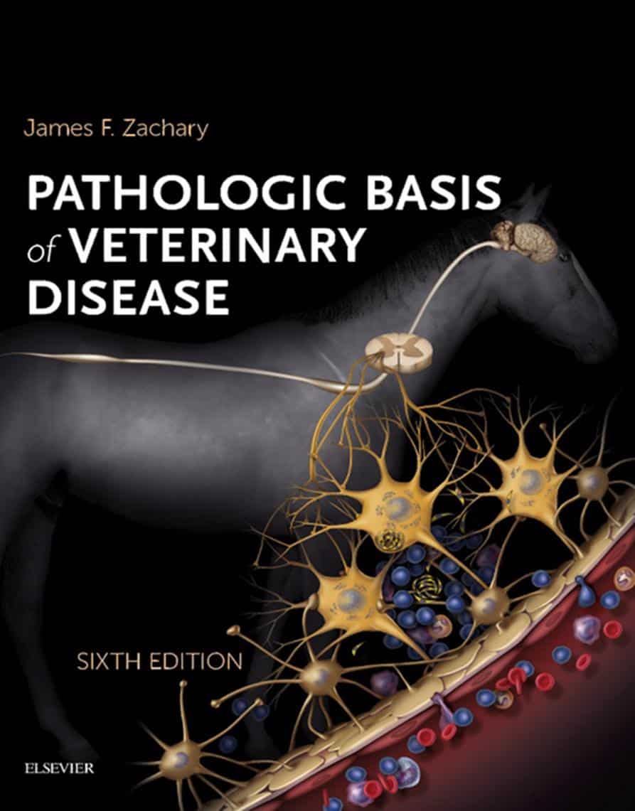 Pathologic Basis Of Veterinary Disease 6th Edition PDF