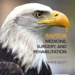 Raptor Medicine, Surgery, And Rehabilitation, 2nd Edition PDF