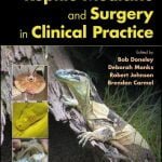 Reptile Medicine And Surgery In Clinical Practice PDF