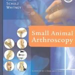 Small Animal Arthroscopy PDF