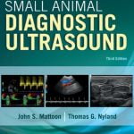 Small Animal Diagnostic Ultrasound 3rd Edition PDF