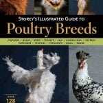 Storeys Illustrated Guide To Poultry Breeds Complete PDF