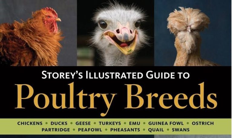 Storeys Illustrated Guide To Poultry Breeds Complete PDF