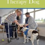 Teaming With Your Therapy Dog PDF