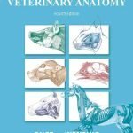 Textbook Of Veterinary Anatomy 4th Edition