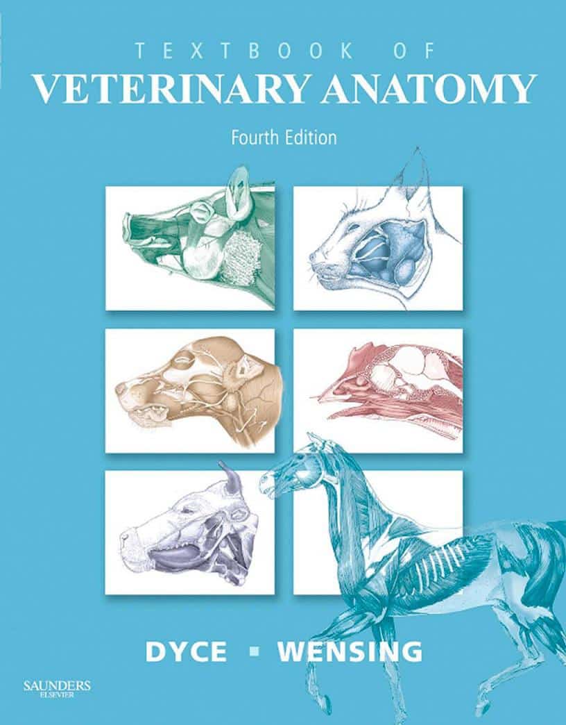 Textbook Of Veterinary Anatomy 4th Edition