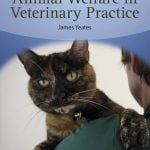 Animal Welfare In Veterinary Practice PDF