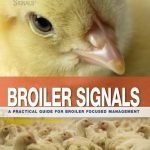 Broiler Signals Download PDF
