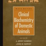 Clinical Biochemistry Of Domestic Animals 6th Edition PDF