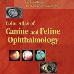 Color Atlas Of Canine And Feline Ophthalmology PDF