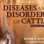 Color Atlas Of Diseases And Disorders Of Cattle 3rd Edition PDF