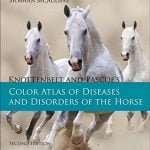 Color Atlas Of Diseases And Disorders Of The Horse 2nd Edition PDF
