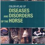 Color Atlas Of Diseases And Disorders Of The Horse PDF