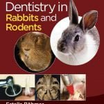 Dentistry In Rabbits And Rodents PDF