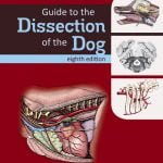 Guide To The Dissection Of The Dog 8th Edition PDF Download