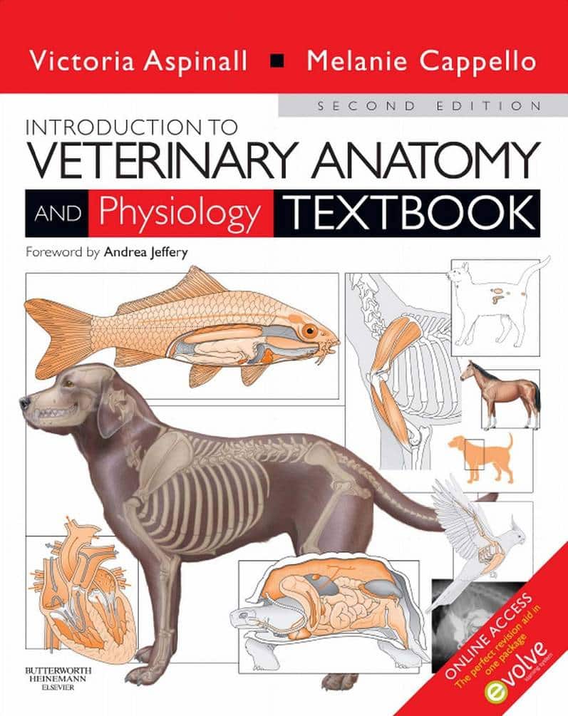 Introduction to Veterinary Anatomy and Physiology 2nd Edition PDF |  PDFLibrary