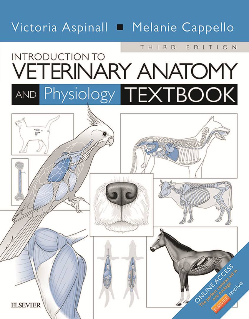 Introduction to Veterinary Anatomy and Physiology Textbook PDF ...