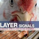Layer Signals PDF