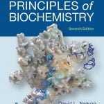 Lehninger Principles Of Biochemistry PDF