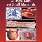 Necropsy Guide For Dogs, Cats, And Small Mammals Free PDF Download