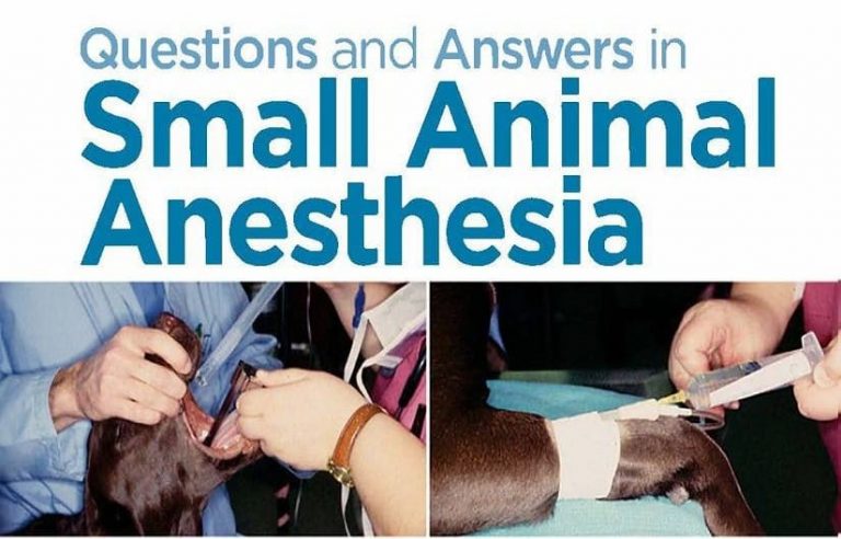 Questions And Answers In Small Animal Anesthesia Free PDF Download