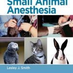 Questions And Answers In Small Animal Anesthesia Free PDF Download