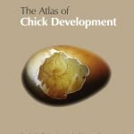Atlas Of Chick Development 3rd Edition Free PDF Book Download
