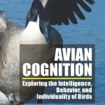 Avian Cognition Exploring The Intelligence, Behavior, And Individuality Of Birds PDF Download