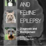 Canine And Feline Epilepsy Diagnosis And Management PDF