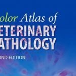 Color Atlas Of Veterinary Pathology PDF Download