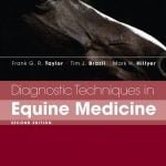 Diagnostic Techniques In Equine Medicine E Book Download