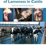 Manual For Treatment And Control Of Lameness In Cattle Free PDF Download