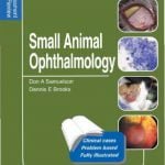 Small Animal Ophthalmology Self Assessment Colour Review EBook Download