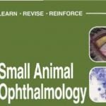 Small Animal Ophthalmology Self Assessment Colour Review EBook Download