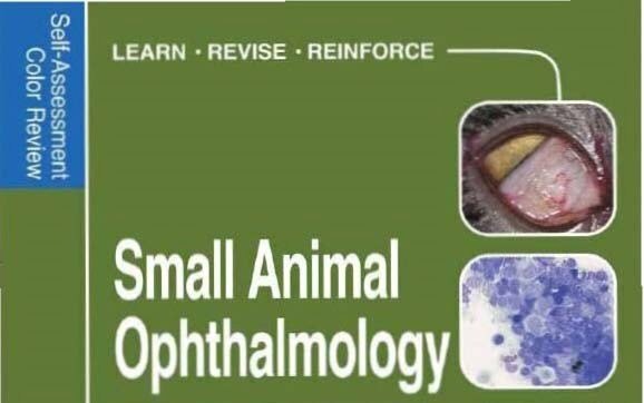 Small Animal Ophthalmology Self Assessment Colour Review EBook Download