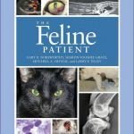 The Feline Patient 4th Edition Free PDF Download