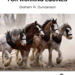 Veterinary Treatment For Working Equines PDF Book Download