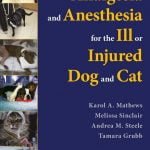 Analgesia And Anesthesia For The Ill Or Injured Dog And Cat PDF