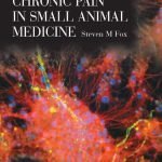 Chronic Pain In Small Animal Medicine PDF